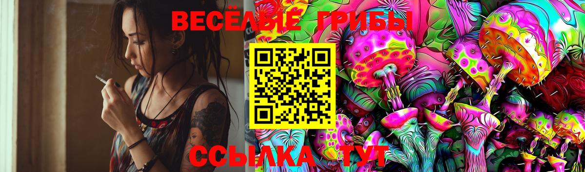 Псилоцибиновые грибы GOLDEN TEACHER Рассказово