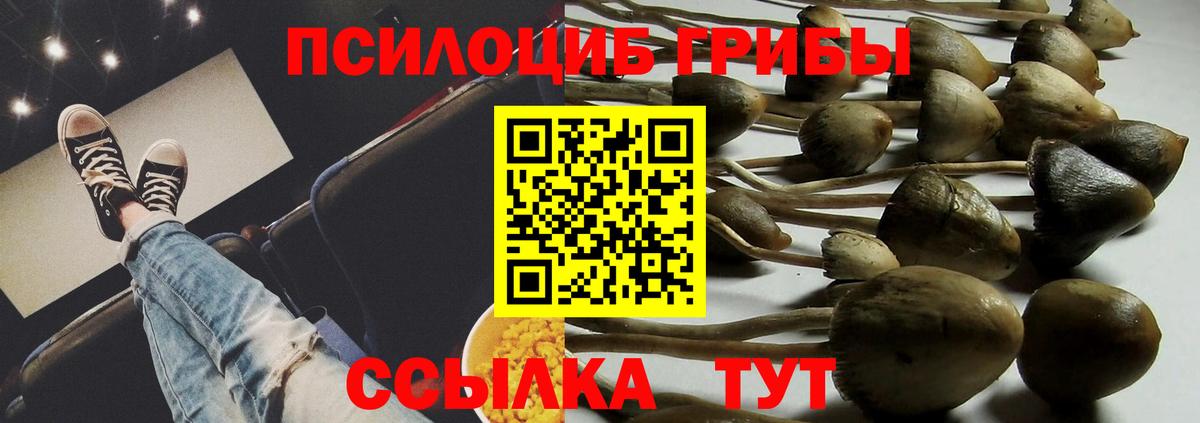 Рассказово  Галлюциногенные грибы мицелий  Вход с VPN 